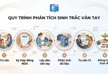 Quy trình phân tích sinh trắc vân tay 6 bước chuyên nghiệp tại Elite Symbol