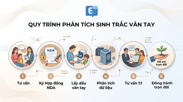 Quy trình phân tích sinh trắc vân tay 6 bước chuyên nghiệp tại Elite Symbol