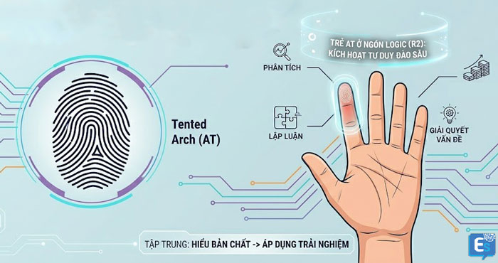 Vị trí ngón logic R2 và đặc tính chủng vân tay AT
