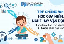Trẻ chủng Wd nên học qua nhìn, nghe hay vận động theo phương pháp VAK sinh trắc vân tay