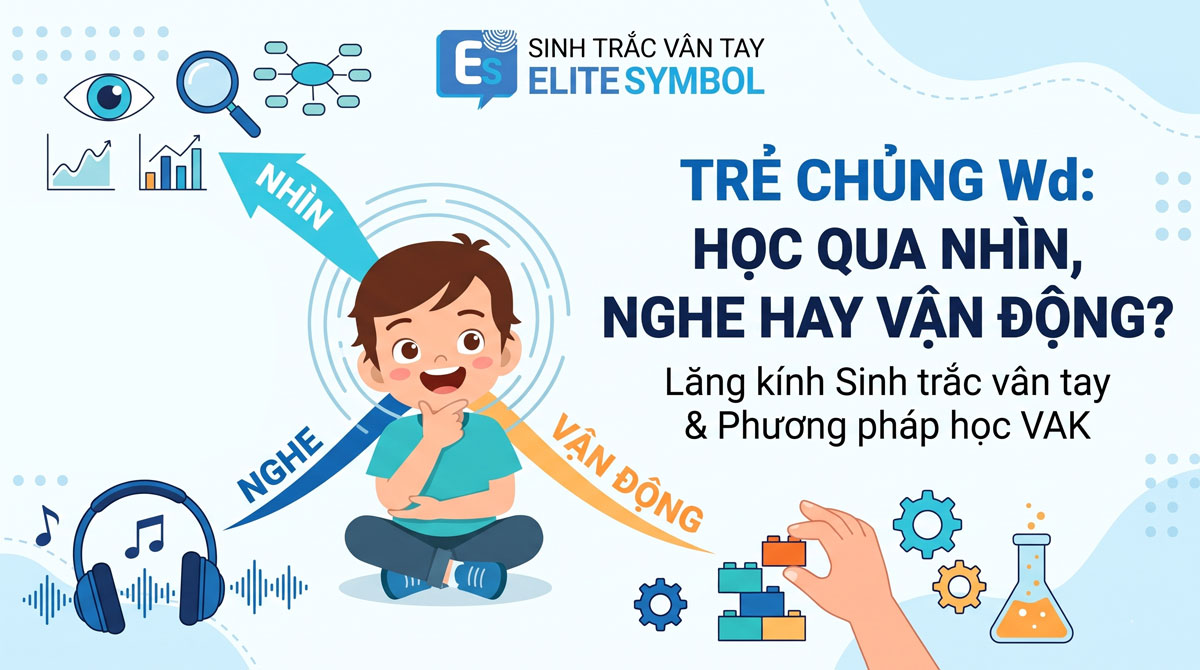 Trẻ chủng Wd nên học qua nhìn, nghe hay vận động theo phương pháp VAK sinh trắc vân tay