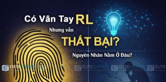Có Vân Tay RL Nhưng Vẫn Thất Bại – Nguyên Nhân Nằm Ở Đâu?