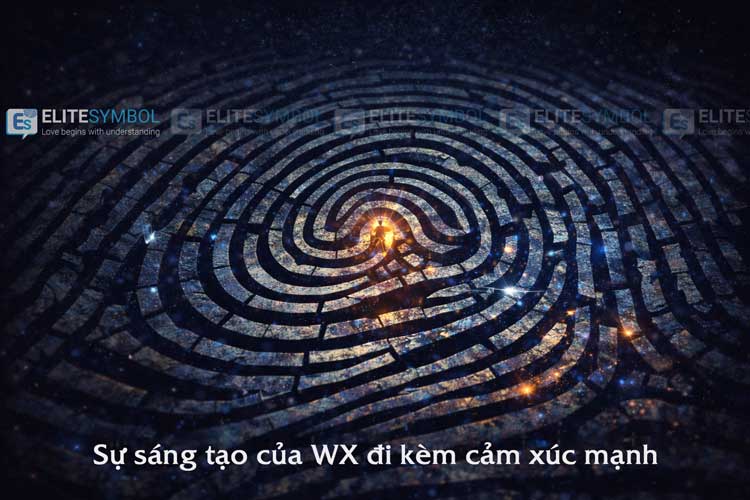vân tay WX như mê cung biểu tượng cho tư duy phi tuyến