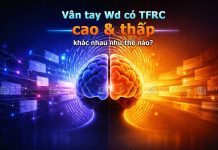 Vân tay Wd có TFRC cao và Wd TFRC thấp khác nhau ở điểm nào?