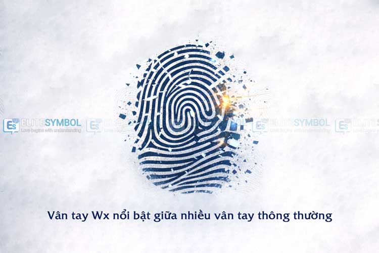 vân tay WX nổi bật giữa nhiều vân tay thông thường