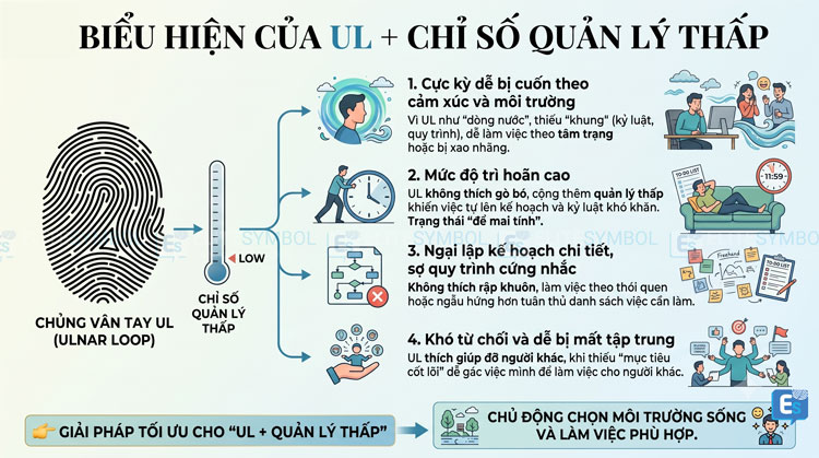 Một biểu đồ thông tin giải thích các biểu hiện của một người có vân tay Ulnar Loop và chỉ số quản lý thấp, bao gồm dễ bị cuốn theo cảm xúc, mức độ trì hoãn cao, ngại lập kế hoạch chi tiết, và khó từ chối, cũng như giải pháp tối ưu là chủ động chọn môi trường phù hợp.
