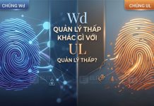 So sánh chủng vân tay Wd quản lý thấp và UL quản lý thấp trong sinh trắc vân tay