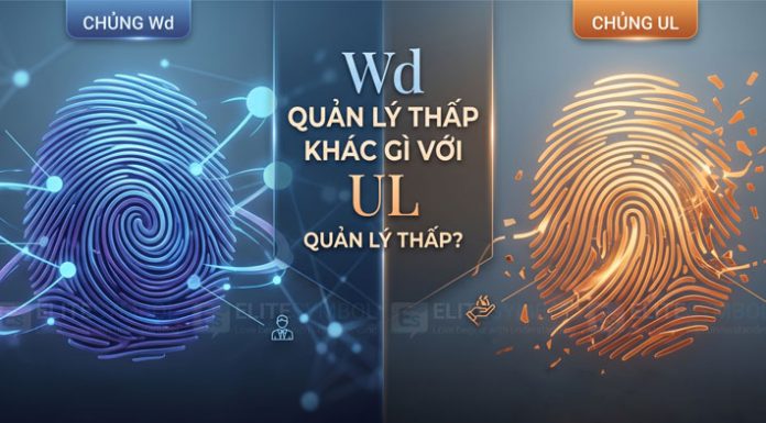 So sánh chủng vân tay Wd quản lý thấp và UL quản lý thấp trong sinh trắc vân tay