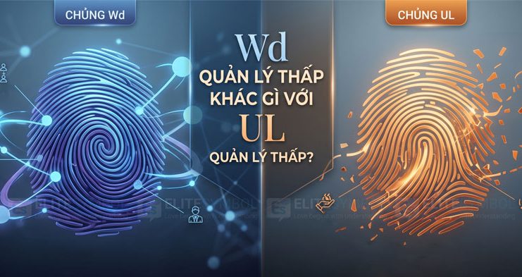 So sánh chủng vân tay Wd quản lý thấp và UL quản lý thấp trong sinh trắc vân tay