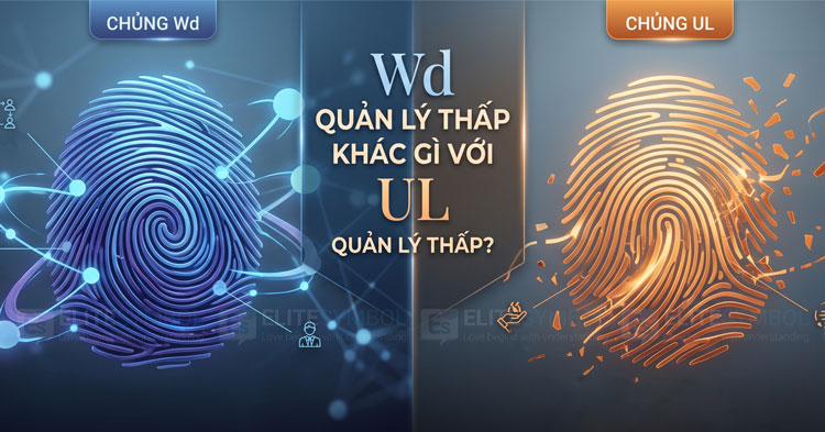 So sánh chủng vân tay Wd quản lý thấp và UL quản lý thấp trong sinh trắc vân tay