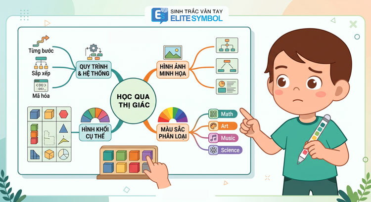 Trẻ chủng vân tay AT học qua kênh thị giác bằng sơ đồ tư duy và flashcard màu sắc