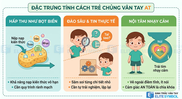 Đặc trưng tính cách chủng vân tay AT Núi hấp thu như bọt biển và thích thực tế