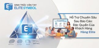 Chuyên gia Elite Symbol tư vấn và hỗ trợ sau báo cáo sinh trắc vân tay cho khách hàng