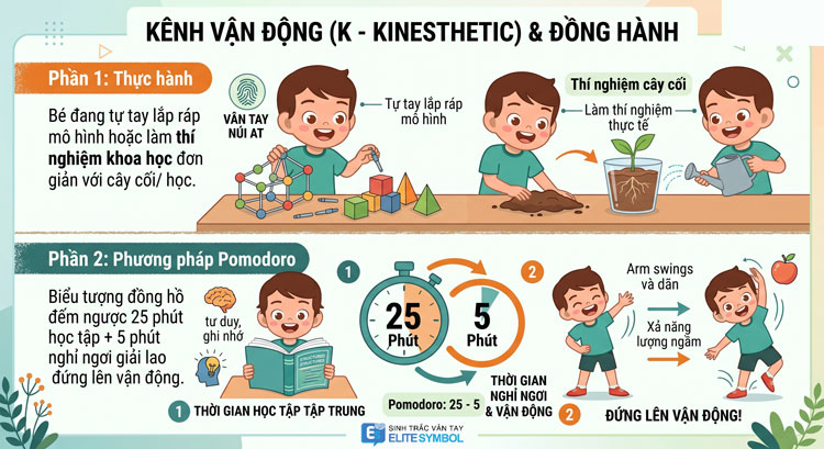 Trẻ vân tay AT học qua vận động thực hành và nhịp học Pomodoro