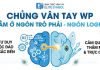 Chủng vân tay Wp ngón trỏ phải R2 giải mã tư duy Mắt Công Elite Symbol