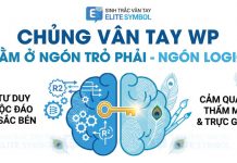 Chủng vân tay Wp ngón trỏ phải R2 giải mã tư duy Mắt Công Elite Symbol