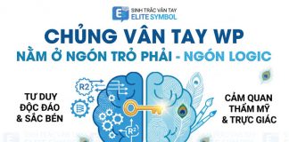 Chủng vân tay Wp ngón trỏ phải R2 giải mã tư duy Mắt Công Elite Symbol