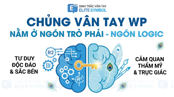 Chủng vân tay Wp ngón trỏ phải R2 giải mã tư duy Mắt Công Elite Symbol