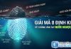 Giải mã 8 định kiến về chủng vân tay nước ngược RL trong sinh trắc vân tay