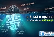 Giải mã 8 định kiến về chủng vân tay nước ngược RL trong sinh trắc vân tay