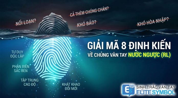 Giải mã 8 định kiến về chủng vân tay nước ngược RL trong sinh trắc vân tay