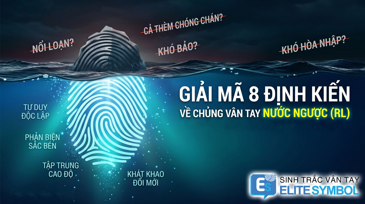 Giải mã 8 định kiến về chủng vân tay nước ngược RL trong sinh trắc vân tay