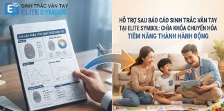 Hỗ trợ sau báo cáo sinh trắc vân tay tại Elite Symbol giúp chuyển hóa tiềm năng thành hành động