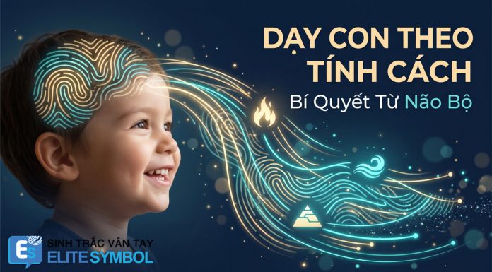Phương pháp dạy con theo tính cách chuẩn khoa học não bộ cùng Elite Symbol.